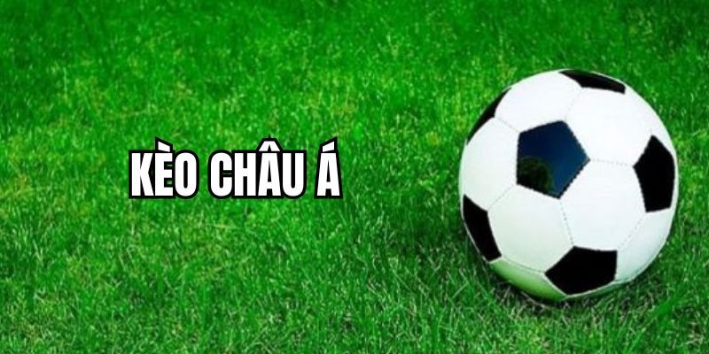 Tại sao nên chọn kèo châu á?